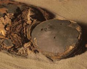 Arica 10.000 años de historia